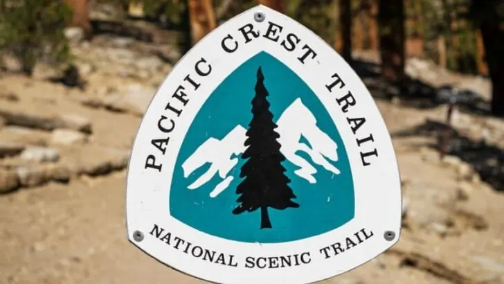 Is The PCT Crowded?