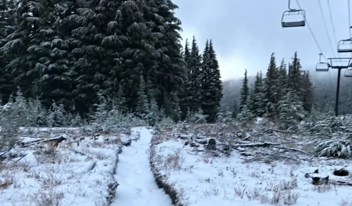 Are Trail Running Shoes Good For Snow?