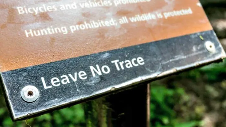 What Are the Seven Principles of Leave No Trace?