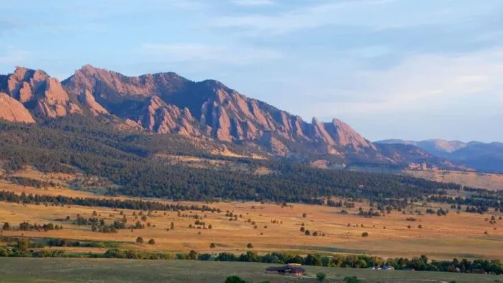 Most Common Problems With Yamaha Rhino 660