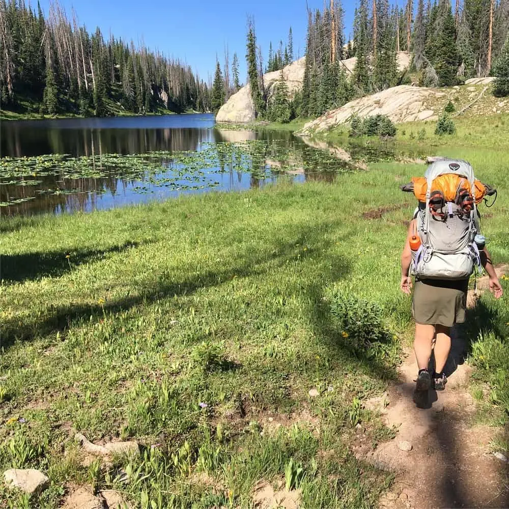 6 Most Common Problems With Oreion Reeper