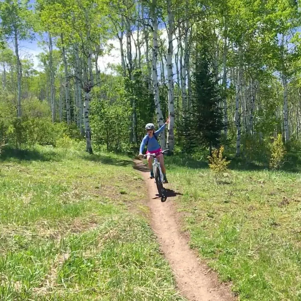 5 Most Common Problems with Kawasaki Teryx4