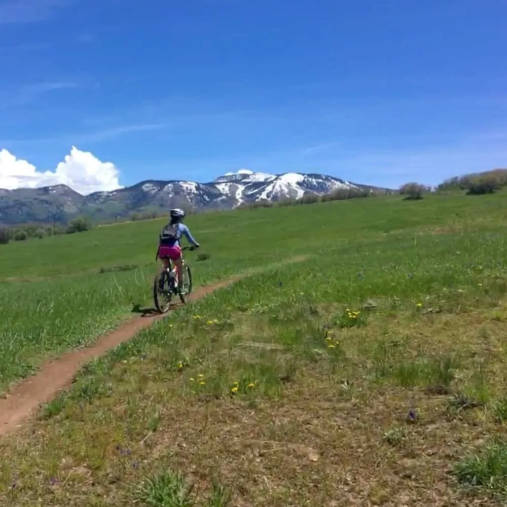 7 Most Common Problems With Arctic Cat Prowler 500