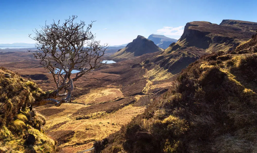 6 Most Common Problems with Can-Am Maverick Sport