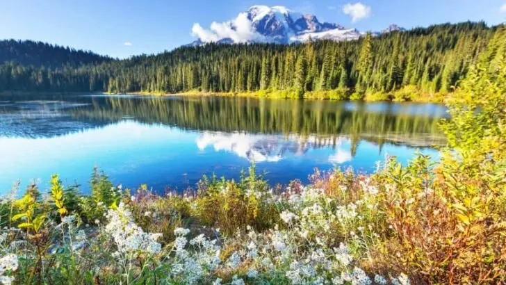 18 Of Seattle&rsquo;s Most Breathtaking Day Hikes You Must Do