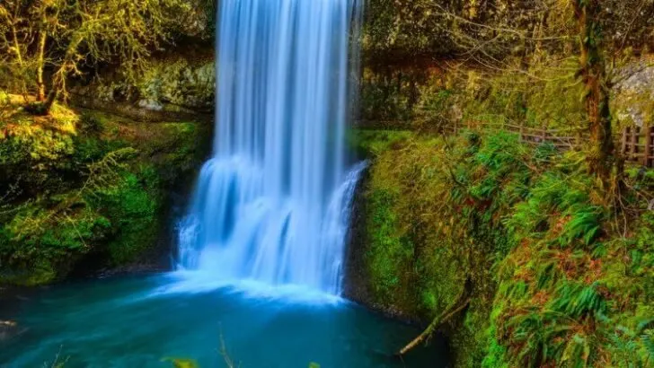 10 Best Waterfall Hikes near Portland, Oregon