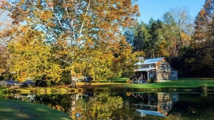 Thoreau Quotes: 25 Most Popular