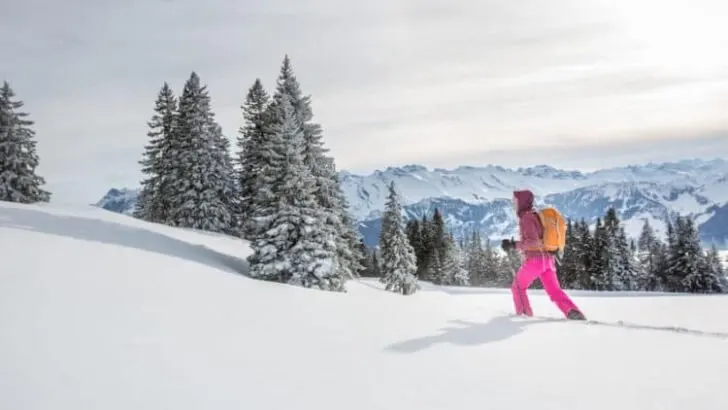 Where Can You Snowshoe In Northern Colorado?