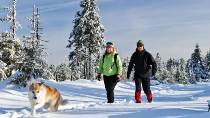 What Pants Should I Wear for Winter Hiking?