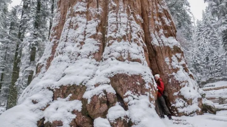 Which National Parks are Best in Winter?