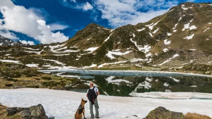 How Do I Prepare My Dog for Hiking? (10 Tips)