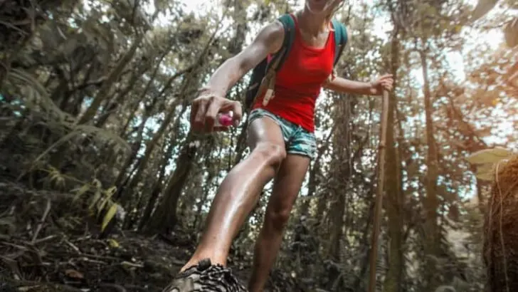 How To Deal With Mosquitoes While Backpacking