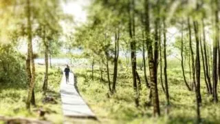 How Far Should I Run as a Beginner