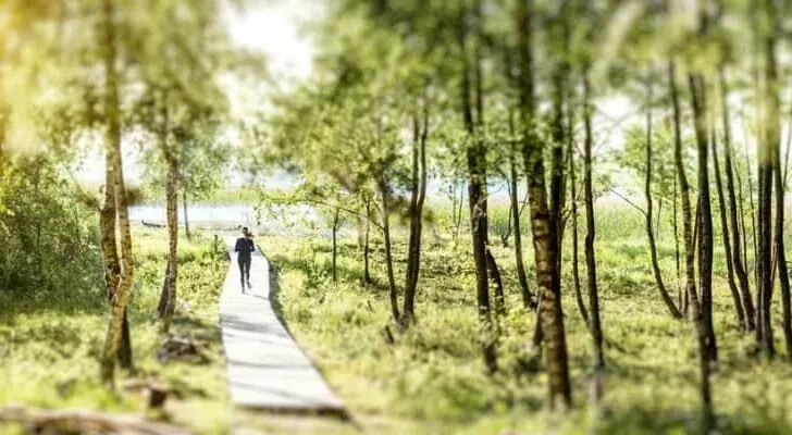 How Far Should I Run as a Beginner?