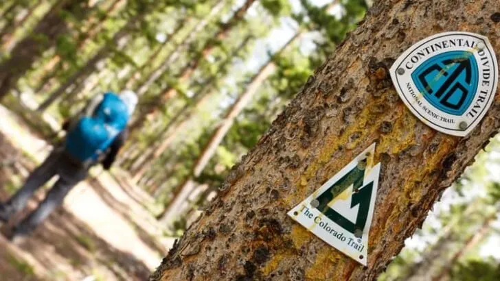 How Much Does It Cost to Hike the Continental Divide Trail?