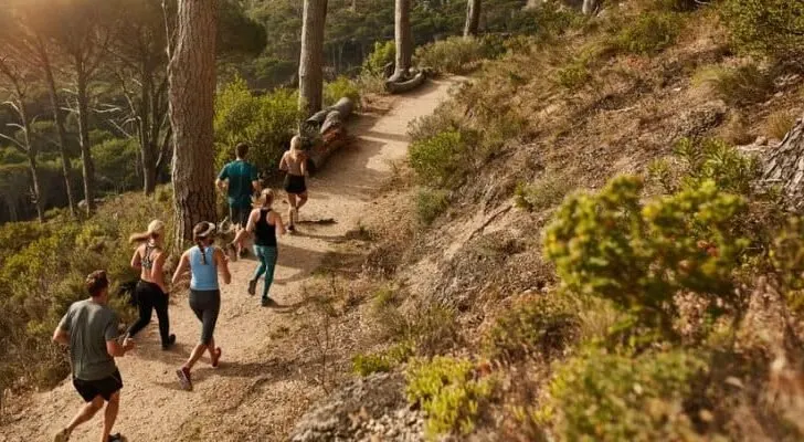 What Are the Different Types of Runs?