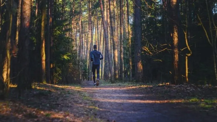 What is a Recovery Run? (Benefits and FAQs)