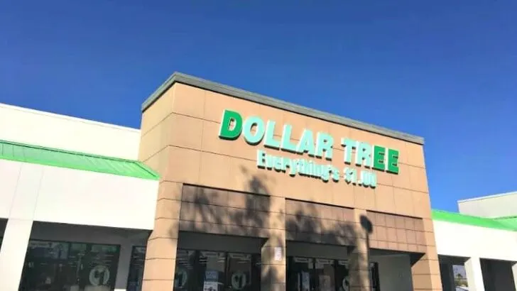 22 Dollar Tree Camping Essentials