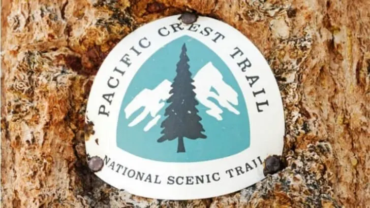 How Much Money do you Need to Hike the Pacific Crest Trail?