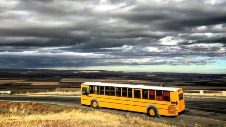 Where can I Buy a Cheap School Bus?
