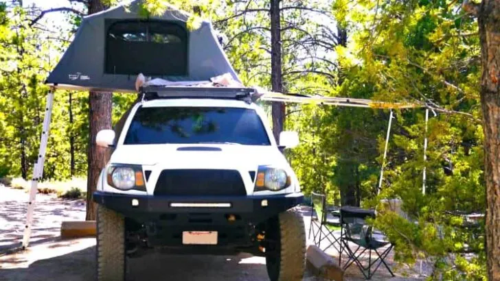 Are Roof Top Tents Safe from Bears?