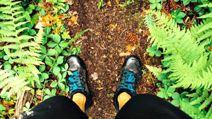 Do Trail Running Shoes Need to be Waterproof?