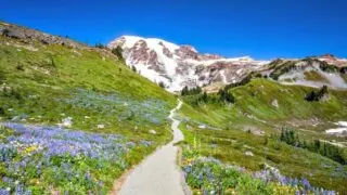 backpacking washington