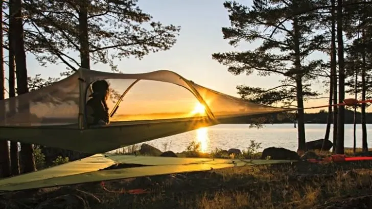 Best Tree Tents? (9 Crowd Favorites)