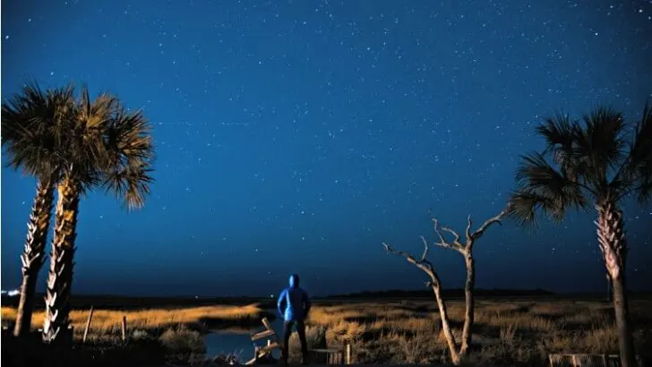 Where Can You Camp for Free in Florida?