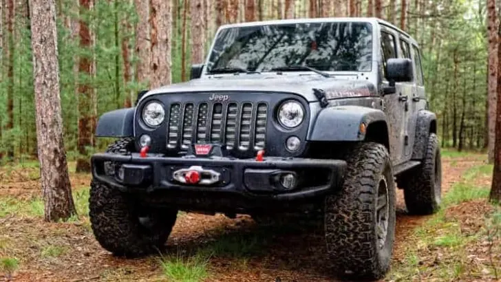 Do You Need a Winch for Overlanding?