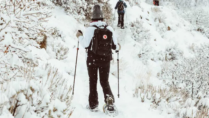 What Kind of Pants Do You Wear Snowshoeing?