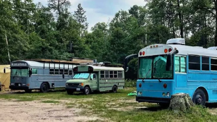 What To Know Before Building a Skoolie? (4 Full-Timers Share All)