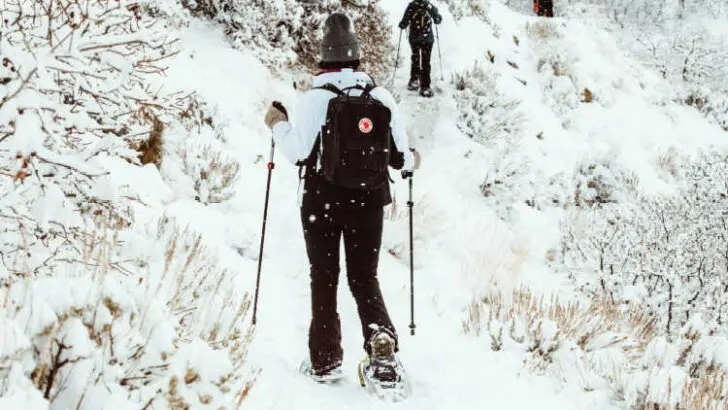 Snowshoeing VS Hiking: Which is more difficult?