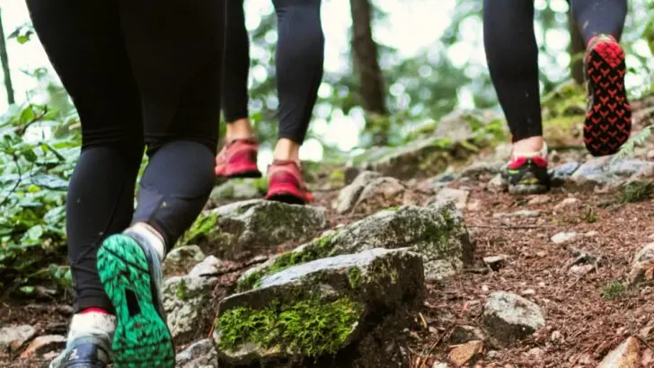 Are Hiking Shoes Really Necessary? (Pros/Cons + Recommendations)