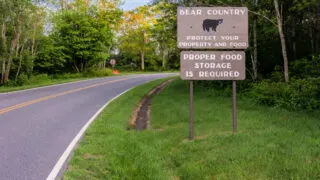 can bears smell through smell proof bags