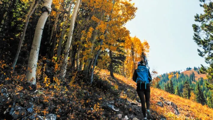 Can I Take a Backpacking Backpack as a Carry On? (TSA/Airline Rules)