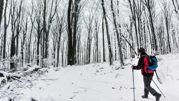 5 Best Heated Insoles for Hiking