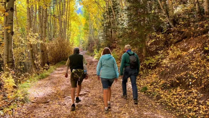 What Kind of Shoes Should You Wear Hiking?