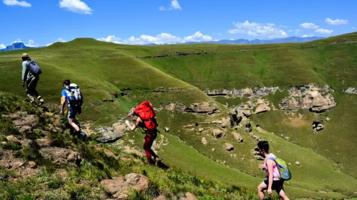 Is It Better to Hike in Pants or Shorts?