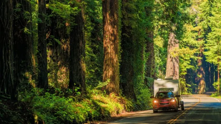 Trailers Under 2,500 lbs with Bathrooms (top 10 picks)