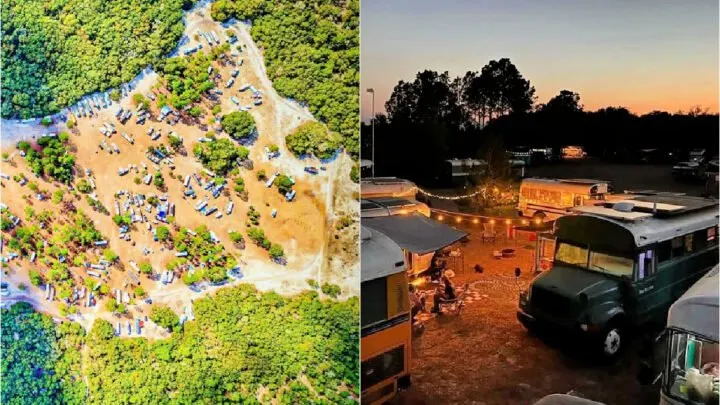 What is Skoolie Swarm? (Buslife FAQs)