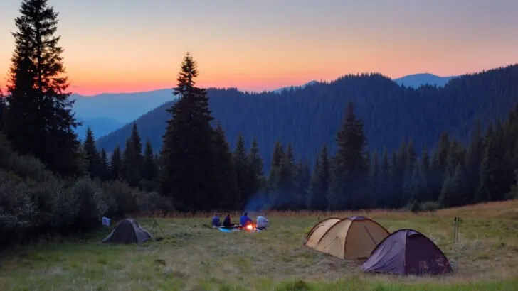 What are the Basic Necessities for Camping? (6 Must Haves)