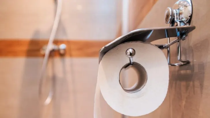 Is it OK to use Regular Toilet Paper in an RV?