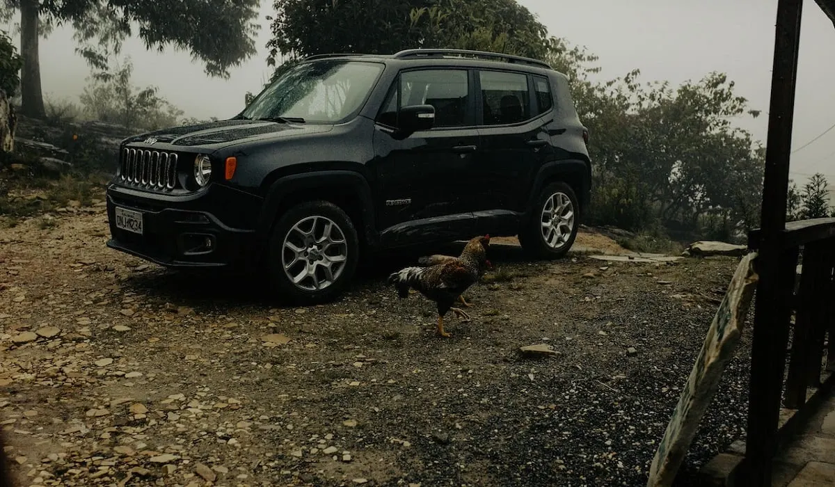 Top 7 Reasons Why Jeep is Not Shifting out of Park